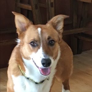 Meet your Posher, Tina